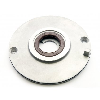 stomp tomanon zongshen190 disk insulator