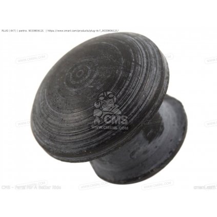 plug 4x7 big9033806121 01 1fb4