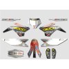 1134 sada polepu pitbike ycf bigy