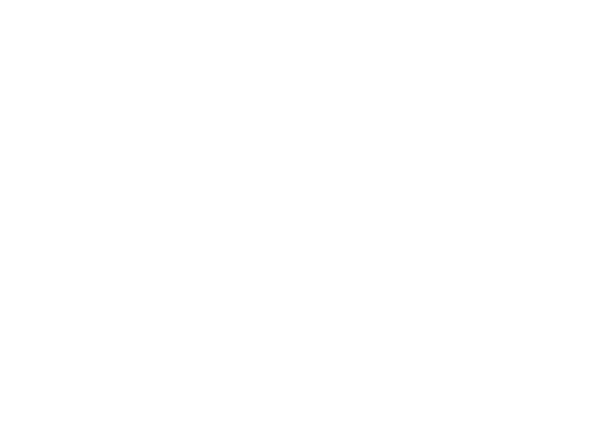 W'NAME designSTD