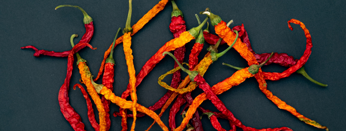 Jak sušit chilli papričky