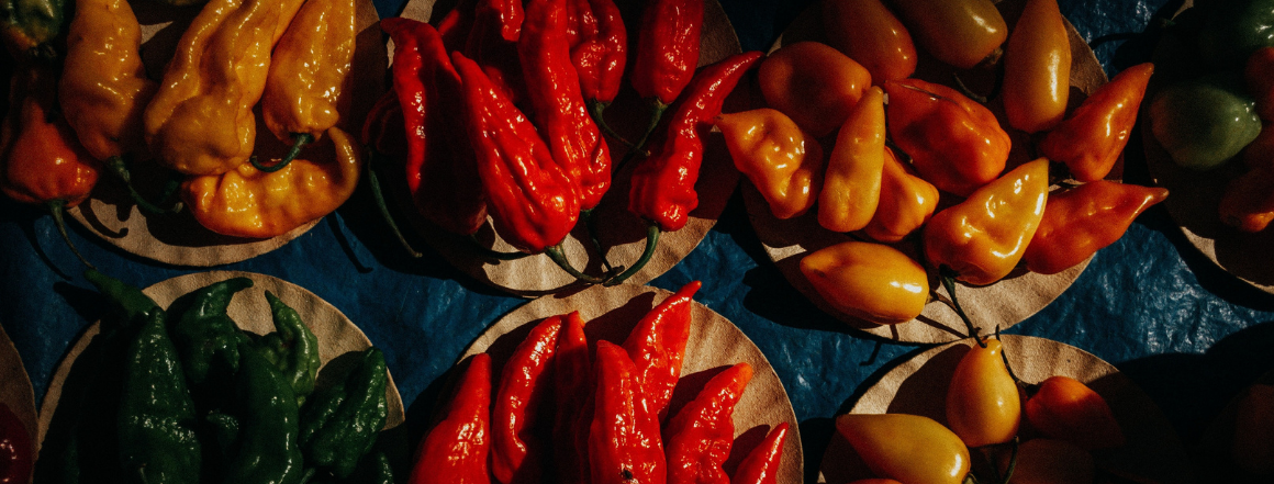 Jak na nakládané chilli papričky