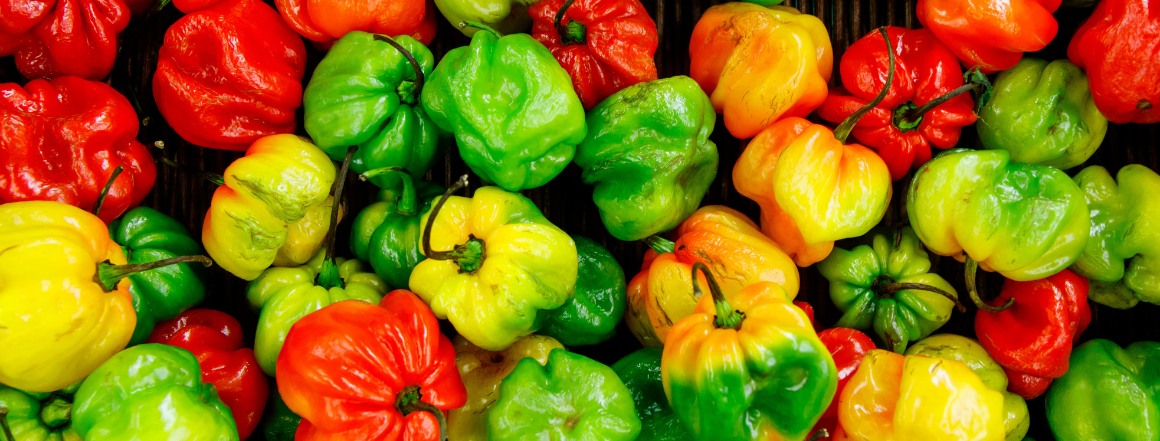 Chilli nemá povinnost pálit