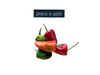 plody pimiente de padron
