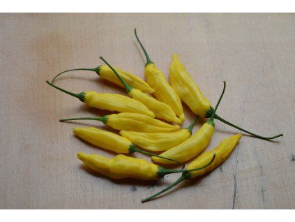 aji lemon 50g