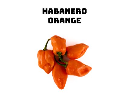 Habanero orange 50g