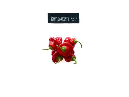 jamaycan 50g