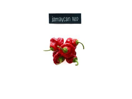 plody jamaycan red