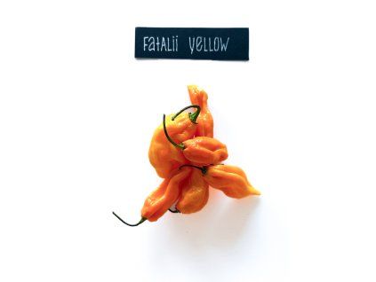 plody fatalii yellow