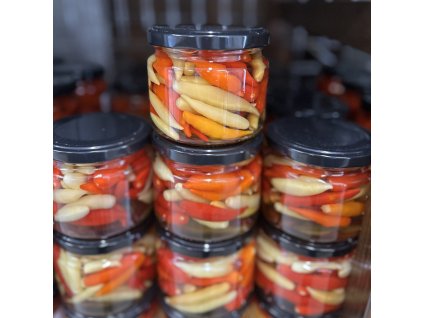 world_of_chilli_Aji_Omnicolo