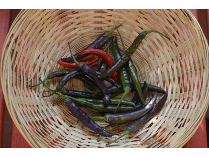 cayenne purpl 50g