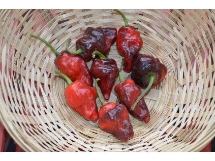 habanero tasmanian 50g