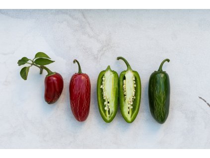 JALAPENO (8)