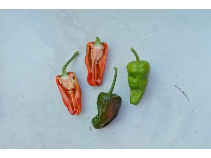 pimiente da padron (16)