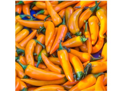 bulgarian carot