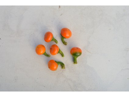 korál orange (7).NEF