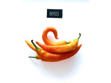 plody beros