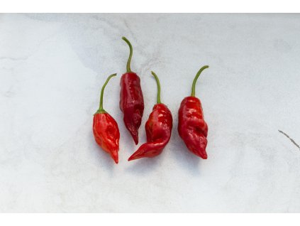 Jolokia Red