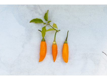 Aji Amarillo 