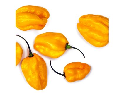 habanero yellow (2)