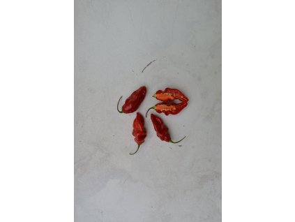 naga morich (5).NEF