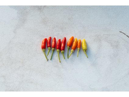 Tabasco