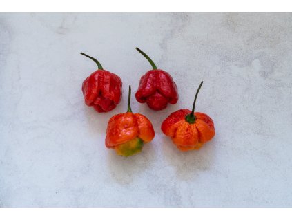 Trinidad Moruga Scorpion red