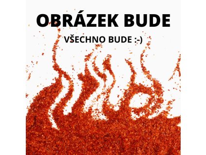 OBRÁZEK BUDE