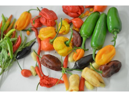 1. česká chilli bonboniera