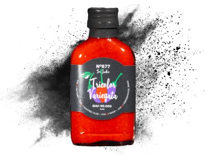 677 tricolora variegata