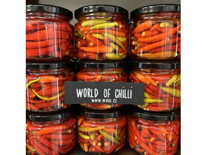 world_of_chilli_poisenttia