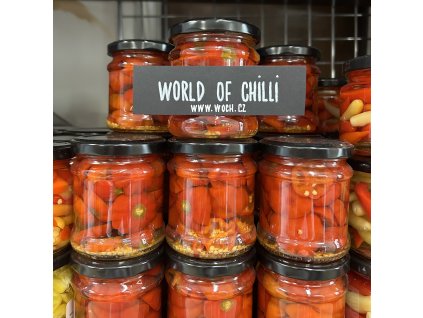 world_of_chilli_brazilian_starfish