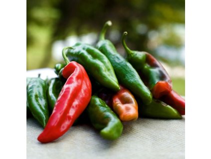 anaheim chilli