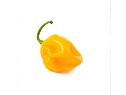 habanero yellow