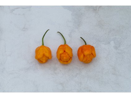 Trinidad Moruga Scorpion Yellow