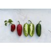 JALAPENO (8)
