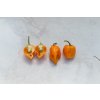 Habanero Orange 