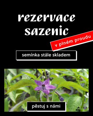 Pěstuješ ze semínka? Nebo čekáš na sazenice? Rezervuj, ať na jaře nepřebíráš: www.woch.cz/sazenice-chilli-papricek