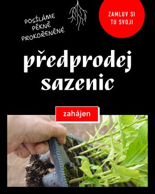 Konečně. Cítím jaro 🌱🌶 Rezervujte si u nás sazenice. Jak to funguje: www.woch.cz/sazenice-chilli-papricek