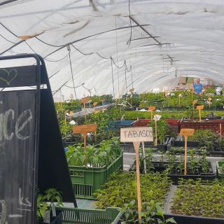 Ultimátní možnost koupit sazeničky chilli papriček🌶 máme všichni tuto sobotu v Ladné u Břeclavi, od 9 do 12 hodin. Čeká...