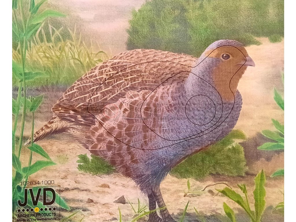 papírový_terč_křepelka_paper_target_Quail_mata_papierowa_