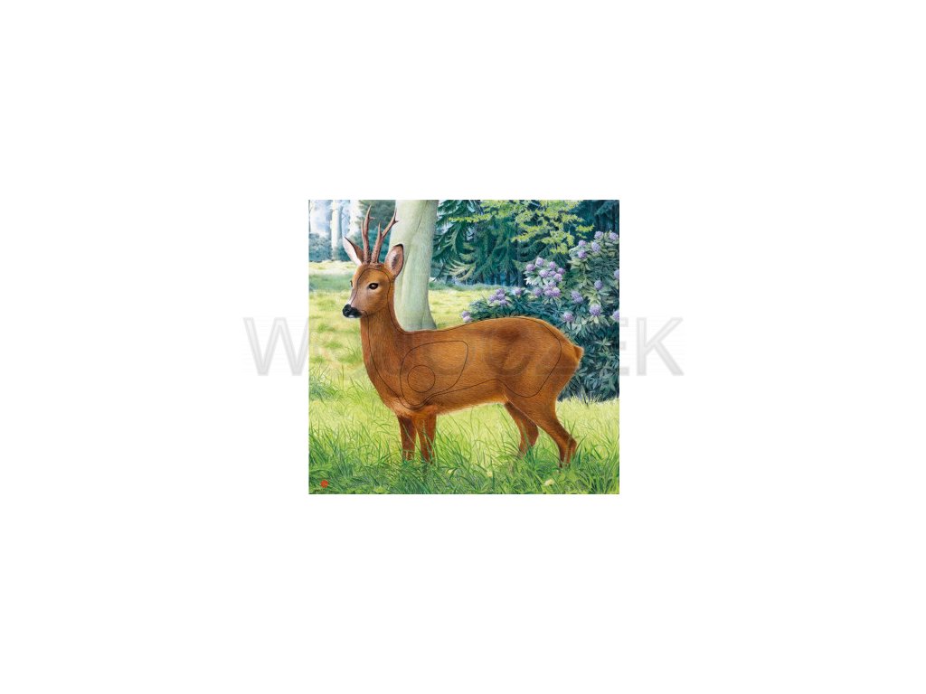 Terč_srnec_JVD_młody_jeleń_roer_deer_target
