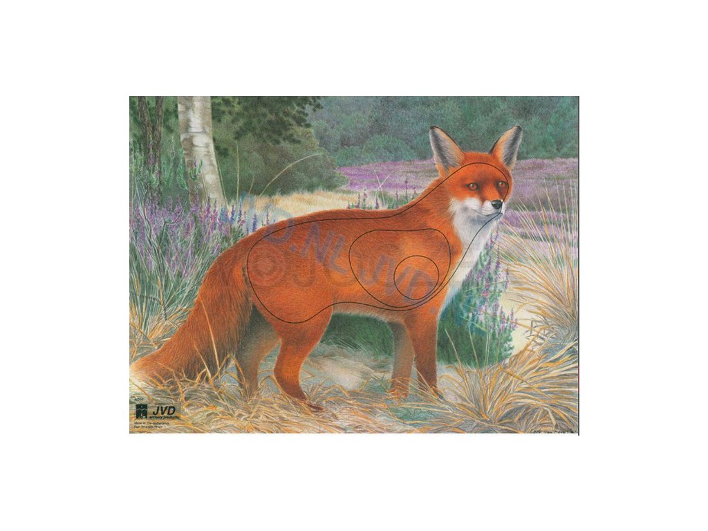 JVD_paper_target_papírový_terč_tarcza_papierowa_fox_lis_liška