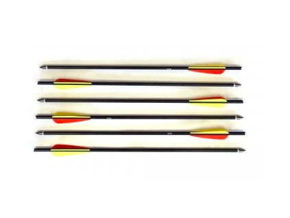 20"-bolts-arrows-hliníkové-šípy-aluminiowe-bełty-zestaw-6sztuk-Sada-6kusů-6pcs