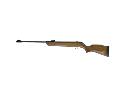 GAMO Big Cat Hunter 4.5 air rifle