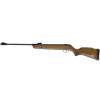 GAMO Big Cat Hunter 4.5 air rifle