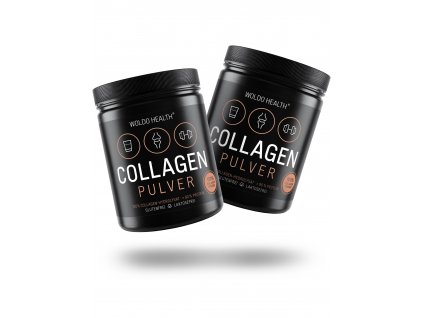 woldohealth collagen pulver protein 2er