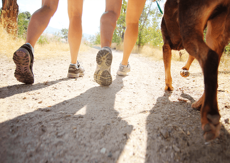 Léto vybízí k pohybu: Jak na efektivní kardio chůzi a péči o klouby