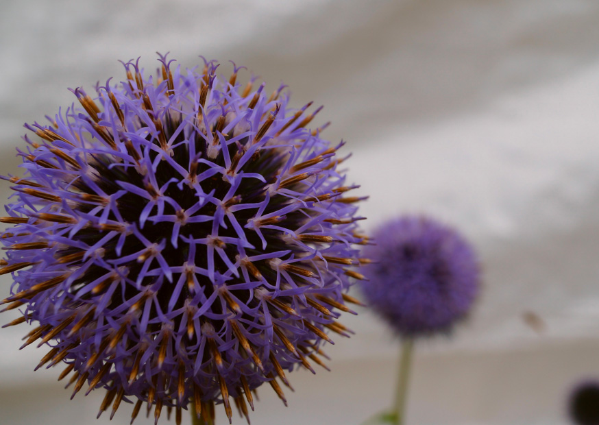 Přírodní cesta k silným játrům