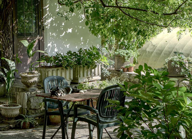 Jak efektivně vyčistit zahradní plastový nábytek